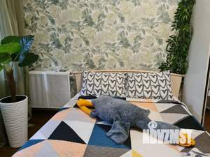 2-к квартира, посуточно, 52м2, 2/9 этаж