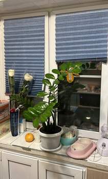 1-к квартира, на длительный срок, 36м2, 5/5 этаж