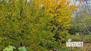 1-к квартира, на длительный срок, 27м2, 8/9 этаж