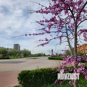 1-к квартира, посуточно, 33м2, 14/16 этаж