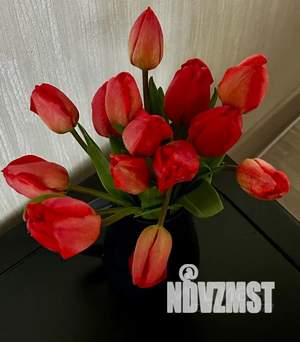 1-к квартира, посуточно, 45м2, 6/6 этаж