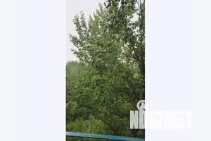 1-к квартира, посуточно, 45м2, 6/9 этаж