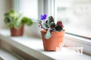 1-к квартира, посуточно, 15м2, 1/1 этаж