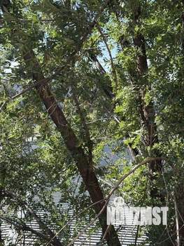 1-к квартира, посуточно, 29м2, 1/1 этаж