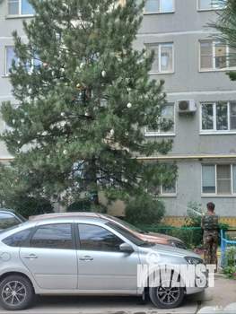 1-к квартира, на длительный срок, 35м2, 3/9 этаж