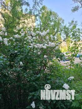 1-к квартира, посуточно, 38м2, 1/5 этаж