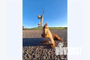 2-к квартира, посуточно, 50м2, 19/19 этаж