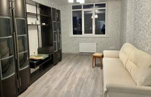 1-к квартира, на длительный срок, 45м2, 5/17 этаж