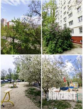 2-к квартира, вторичка, 58м2, 4/9 этаж