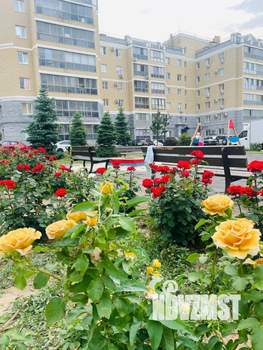 Студия квартира, вторичка, 39м2, 6/14 этаж