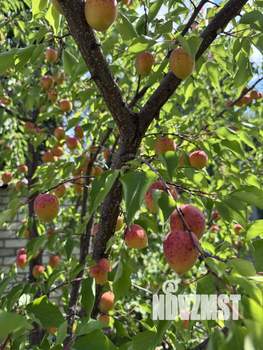 2-к квартира, вторичка, 40м2, 1/1 этаж