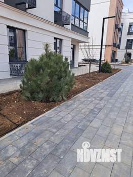Студия квартира, вторичка, 55м2, 2/3 этаж