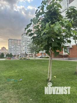 1-к квартира, вторичка, 27м2, 2/11 этаж
