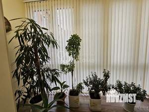 3-к квартира, вторичка, 79м2, 2/4 этаж