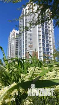 Студия квартира, вторичка, 36м2, 4/14 этаж