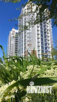 Студия квартира, вторичка, 39м2, 4/14 этаж