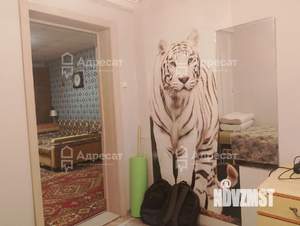 3-к квартира, вторичка, 56м2, 1/1 этаж