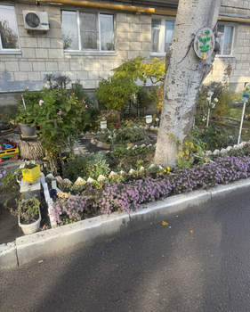 1-к квартира, вторичка, 30м2, 4/5 этаж