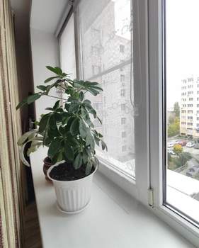 1-к квартира, вторичка, 42м2, 5/10 этаж
